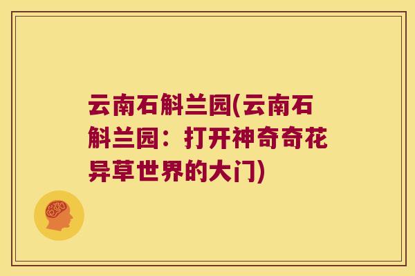 云南石斛兰园(云南石斛兰园:打开神奇奇花异草世界的大门) 云南石斛兰园(云南石斛兰园:打开神奇奇花异草世界的大门)
