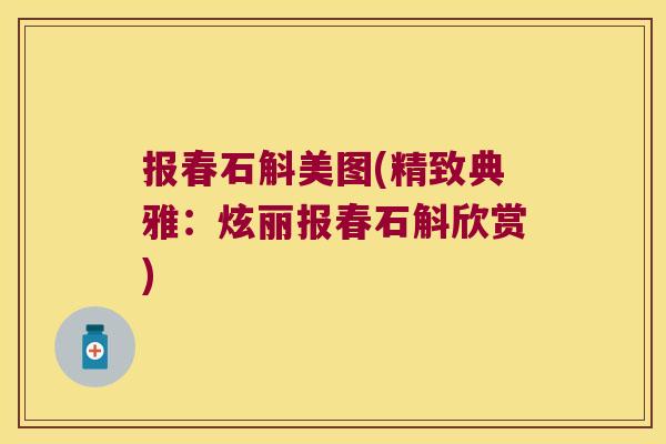 报春石斛美图(精致典雅：炫丽报春石斛欣赏)