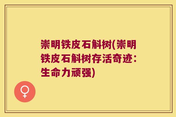 崇明铁皮石斛树(崇明铁皮石斛树存活奇迹：生命力顽强)