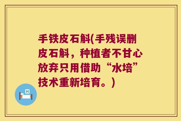 手铁皮石斛(手残误删皮石斛，种植者不甘心放弃只用借助“水培”技术重新培育。)