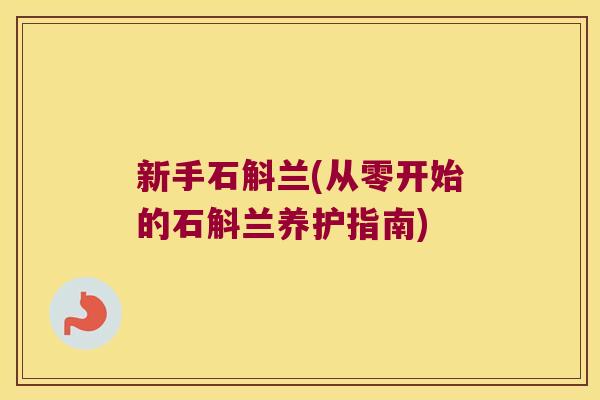 新手石斛兰(从零开始的石斛兰养护指南)
