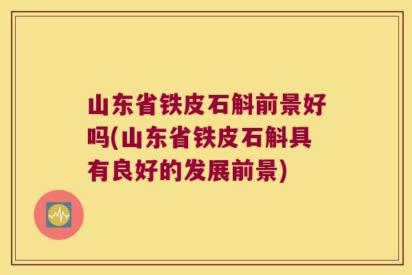 山东省铁皮石斛前景好吗(山东省铁皮石斛具有良好的发展前景)