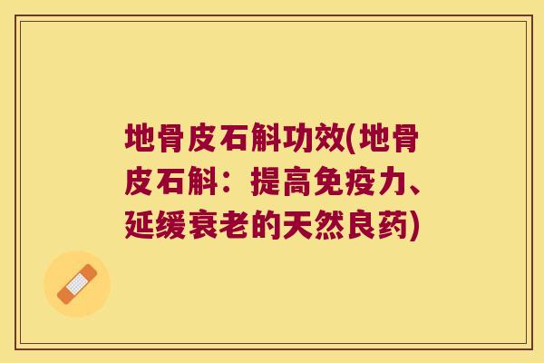 地骨皮石斛功效(地骨皮石斛：提高免疫力、延缓衰老的天然良药)