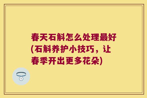 春天石斛怎么处理最好(石斛养护小技巧，让春季开出更多花朵)