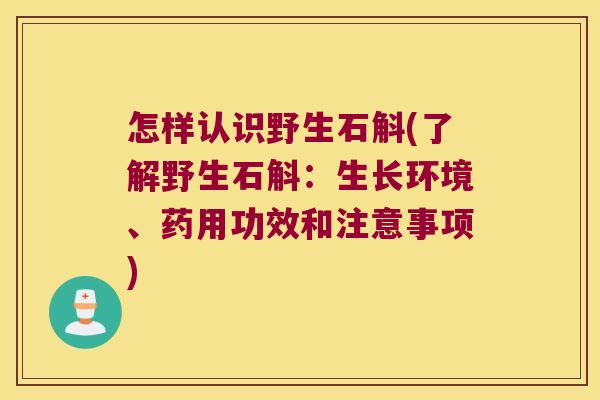 怎样认识野生石斛(了解野生石斛：生长环境、药用功效和注意事项)
