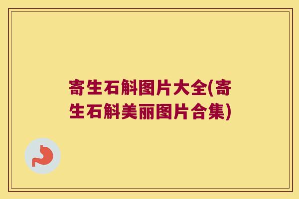 寄生石斛图片大全(寄生石斛美丽图片合集) 寄生石斛图片大全(寄生石斛美丽图片合集)