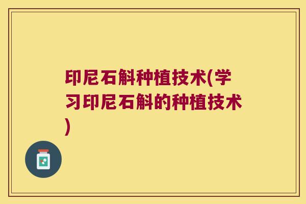 印尼石斛种植技术(学习印尼石斛的种植技术)
