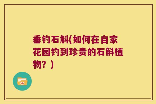 垂钓石斛(如何在自家花园钓到珍贵的石斛植物？)