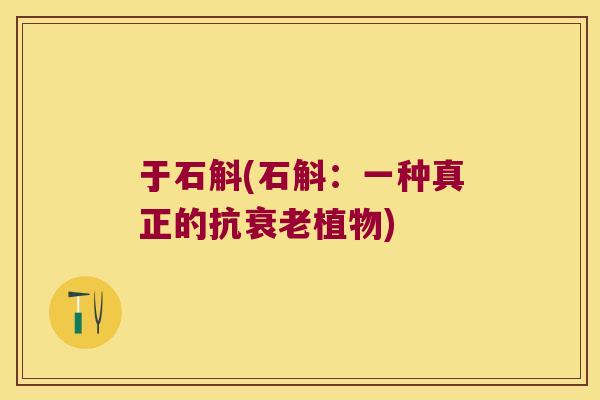 于石斛(石斛：一种真正的抗植物)