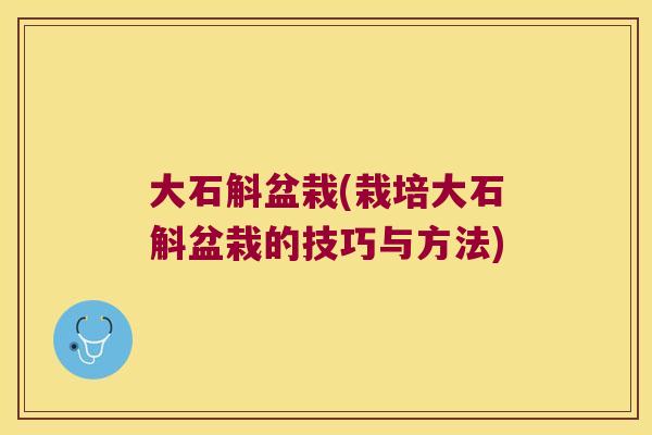 大石斛盆栽(栽培大石斛盆栽的技巧与方法)
