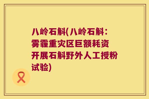 八岭石斛(八岭石斛：雾霾重灾区巨额耗资 开展石斛野外人工授粉试验)