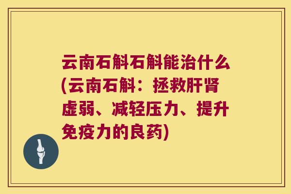 云南石斛石斛能治什么(云南石斛：拯救肝肾虚弱、减轻压力、提升免疫力的良药)