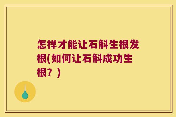 怎样才能让石斛生根发根(如何让石斛成功生根?) 怎样才能让石斛生根发根(如何让石斛成功生根?)