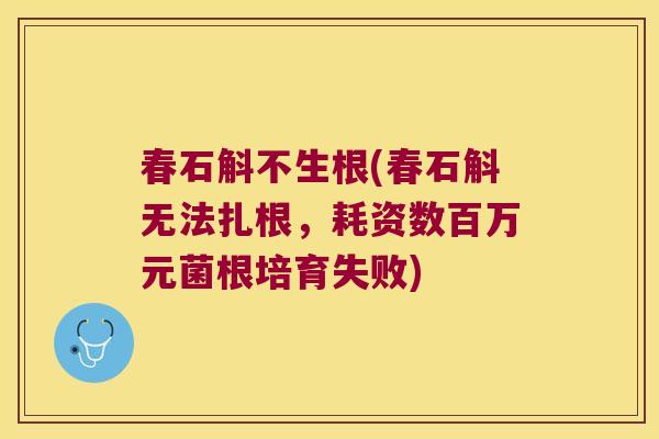 春石斛不生根(春石斛无法扎根，耗资数百万元菌根培育失败)