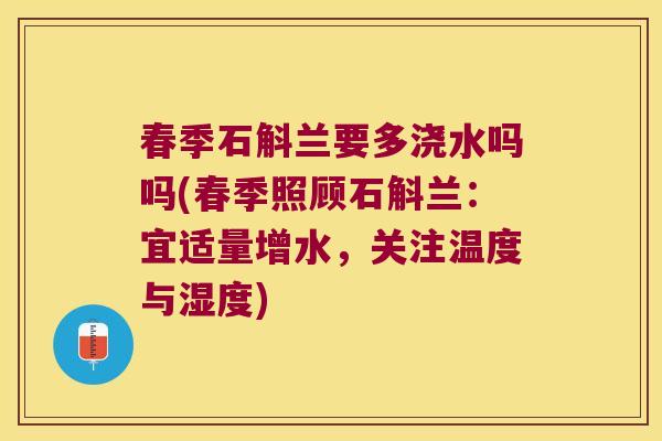 春季石斛兰要多浇水吗吗(春季照顾石斛兰：宜适量增水，关注温度与湿度)
