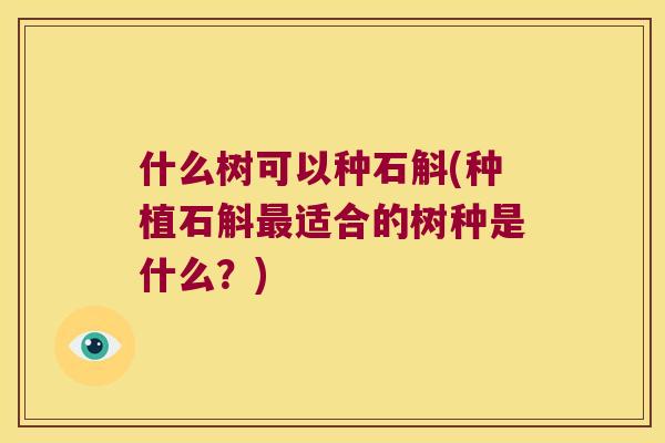 什么树可以种石斛(种植石斛最适合的树种是什么？)
