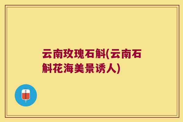 云南玫瑰石斛(云南石斛花海美景诱人)