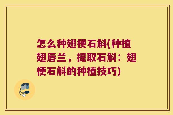 怎么种翅梗石斛(种植翅唇兰，提取石斛：翅梗石斛的种植技巧)