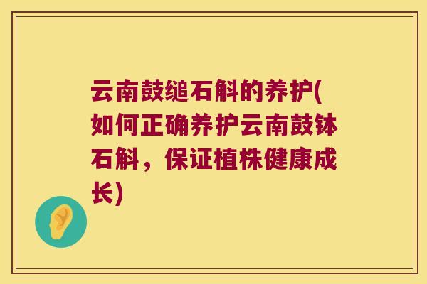 云南鼓缒石斛的养护(如何正确养护云南鼓钵石斛，保证植株健康成长)