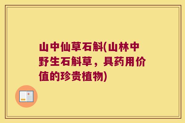山中仙草石斛(山林中野生石斛草，具药用价值的珍贵植物)