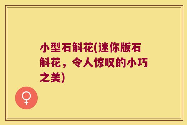 小型石斛花(迷你版石斛花，令人惊叹的小巧之美)