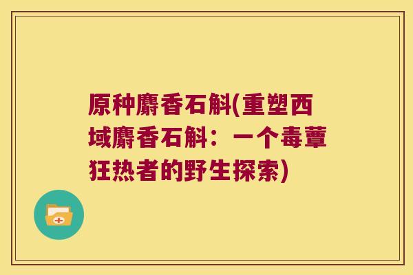 原种麝香石斛(重塑西域麝香石斛：一个毒蕈狂热者的野生探索)