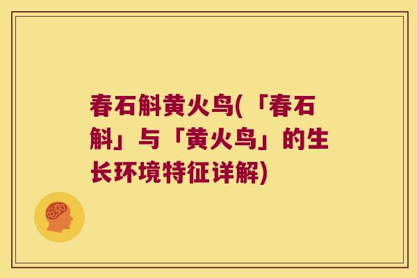 春石斛黄火鸟(「春石斛」与「黄火鸟」的生长环境特征详解)