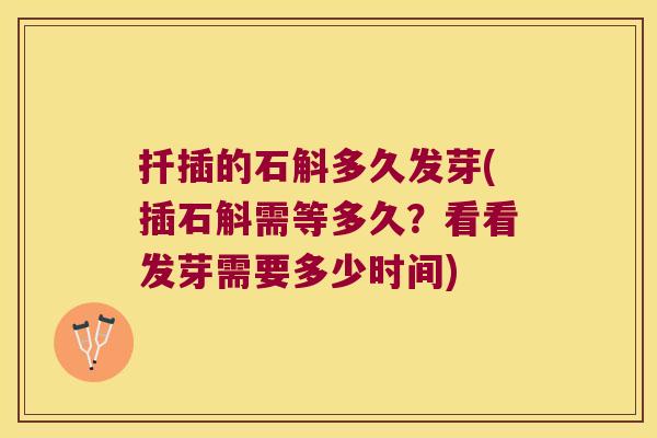 扦插的石斛多久发芽(插石斛需等多久？看看发芽需要多少时间)