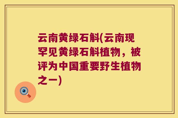 云南黄绿石斛(云南现罕见黄绿石斛植物，被评为中国重要野生植物之一)