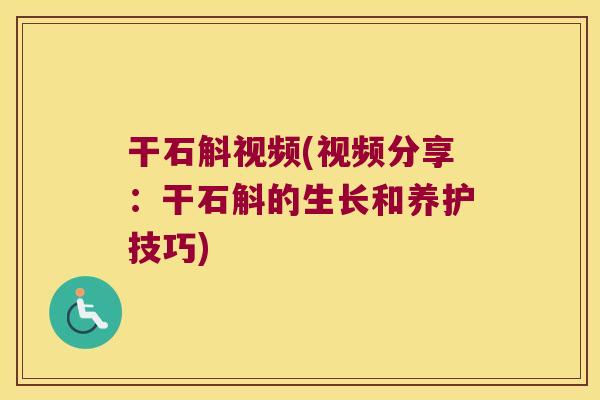 干石斛视频(视频分享：干石斛的生长和养护技巧)
