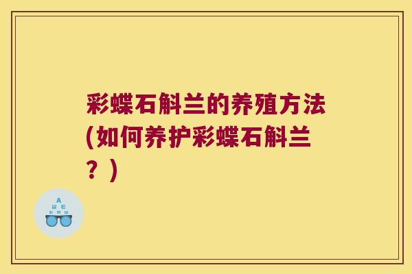 彩蝶石斛兰的养殖方法(如何养护彩蝶石斛兰？)