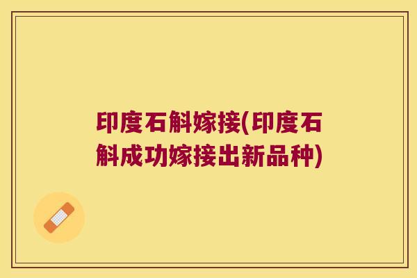 印度石斛嫁接(印度石斛成功嫁接出新品种)