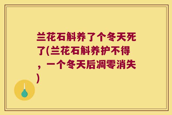 兰花石斛养了个冬天死了(兰花石斛养护不得，一个冬天后凋零消失)