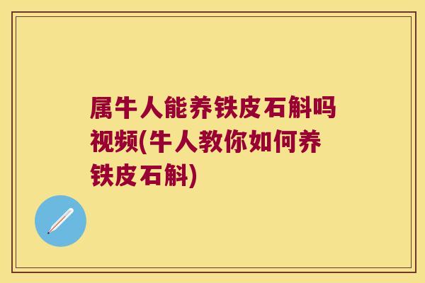 属牛人能养铁皮石斛吗视频(牛人教你如何养铁皮石斛)