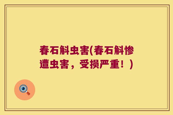 春石斛虫害(春石斛惨遭虫害，受损严重！)
