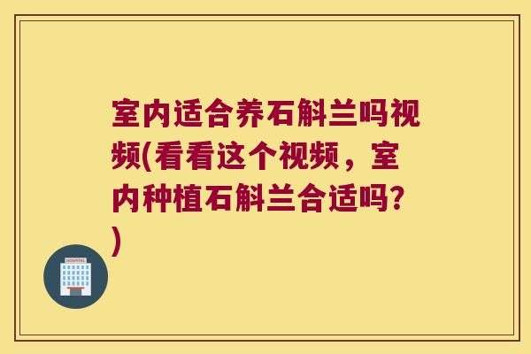 室内适合养石斛兰吗视频(看看这个视频，室内种植石斛兰合适吗？)