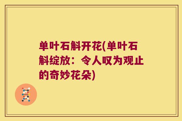 单叶石斛开花(单叶石斛绽放：令人叹为观止的奇妙花朵)