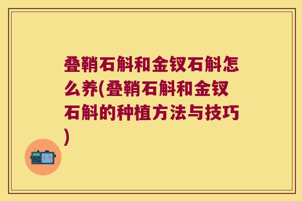 叠鞘石斛和金钗石斛怎么养(叠鞘石斛和金钗石斛的种植方法与技巧)