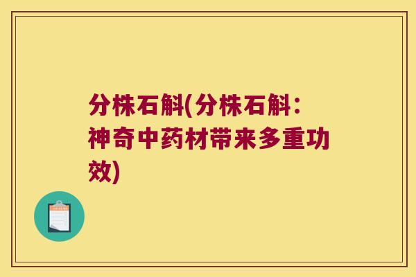 分株石斛(分株石斛：神奇中药材带来多重功效)