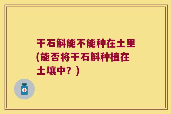 干石斛能不能种在土里(能否将干石斛种植在土壤中?) 干石斛能不能种在土里(能否将干石斛种植在土壤中?)
