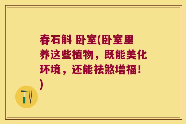 春石斛 卧室(卧室里养这些植物,既能美化环境,还能祛煞增福!) 春石斛 卧室(卧室里养这些植物,既能美化环境,还能祛煞增福!)
