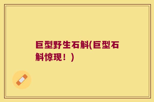 巨型野生石斛(巨型石斛惊现！)