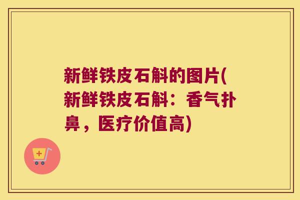 新鲜铁皮石斛的图片(新鲜铁皮石斛：香气扑鼻，医疗价值高)