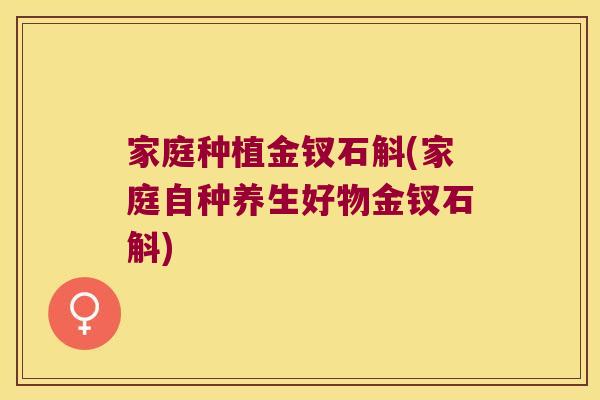 家庭种植金钗石斛(家庭自种养生好物金钗石斛)