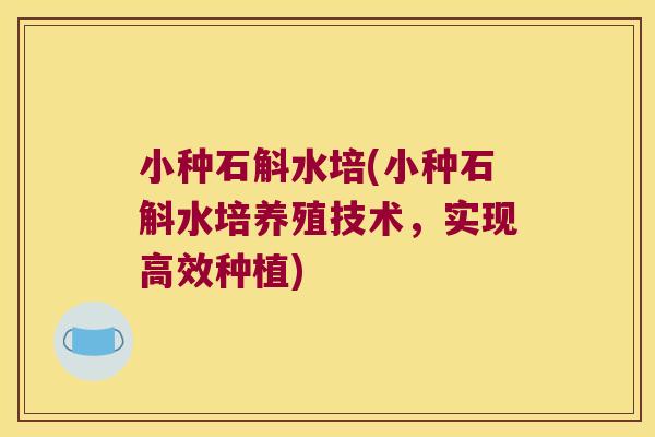 小种石斛水培(小种石斛水培养殖技术，实现高效种植)