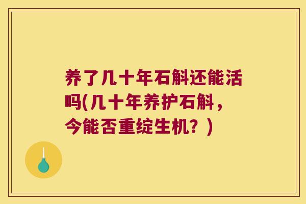 养了几十年石斛还能活吗(几十年养护石斛，今能否重绽生机？)