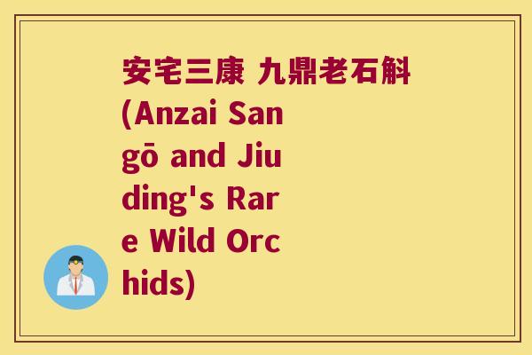 安宅三康 九鼎老石斛(Anzai Sangō and Jiuding's Rare Wild Orchids)