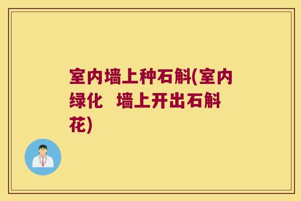 室内墙上种石斛(室内绿化  墙上开出石斛花)