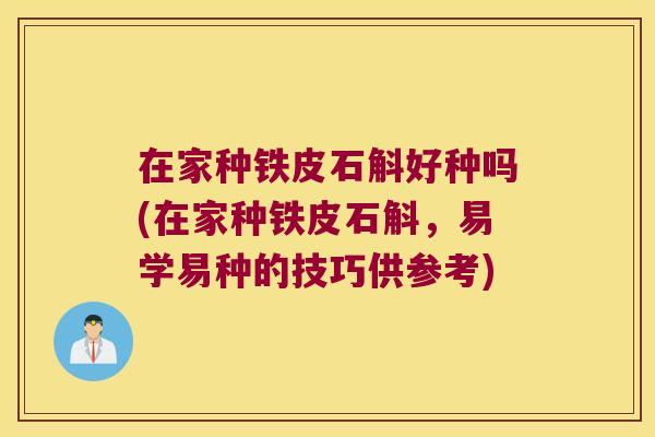 在家种铁皮石斛好种吗(在家种铁皮石斛，易学易种的技巧供参考)