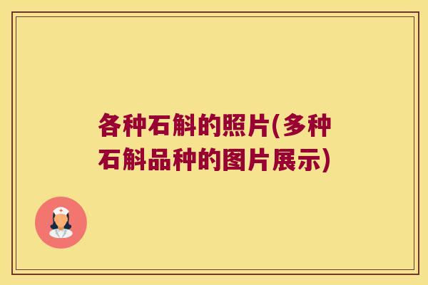 各种石斛的照片(多种石斛品种的图片展示)